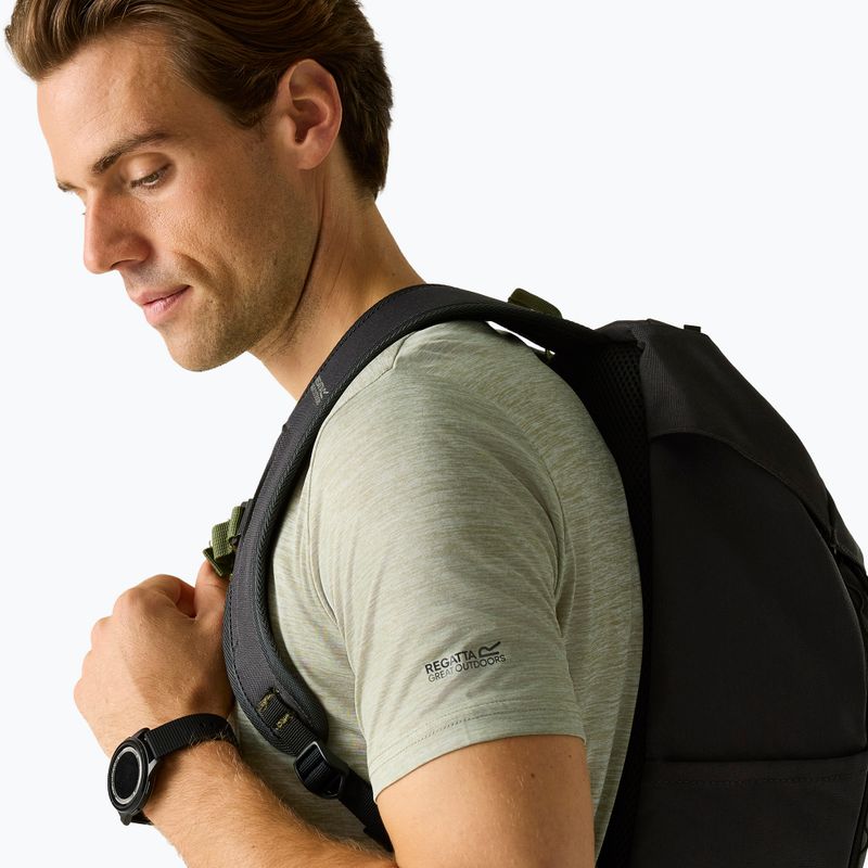Men's trekking T-shirt REGATTA Fingal Edition light sage 4
