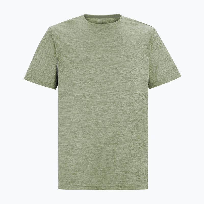 Men's trekking T-shirt REGATTA Fingal Edition light sage 5