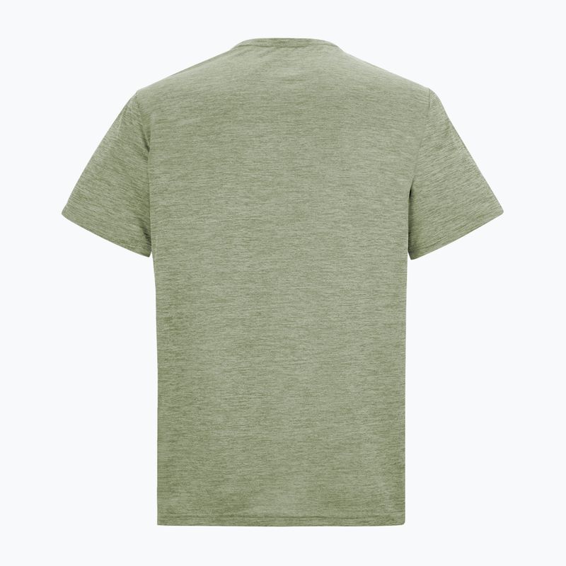Men's trekking T-shirt REGATTA Fingal Edition light sage 6