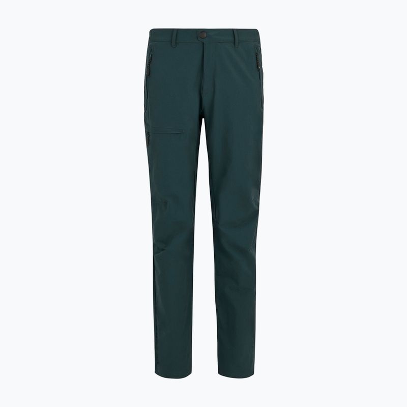 Men's trekking trousers REGATTA Highton II night sky 8