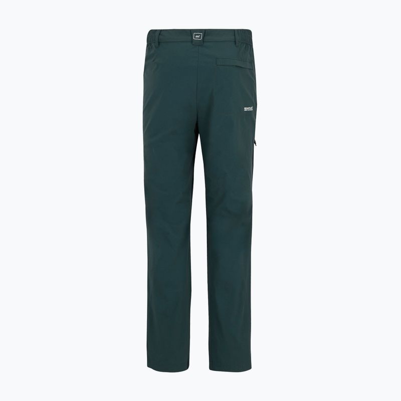 Men's trekking trousers REGATTA Highton II night sky 9