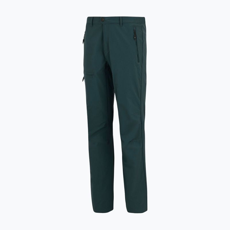 Men's trekking trousers REGATTA Highton II night sky 10