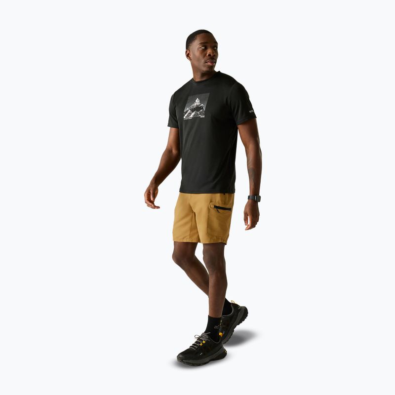 Men's trekking shorts REGATTA Leesville III wood brown 2