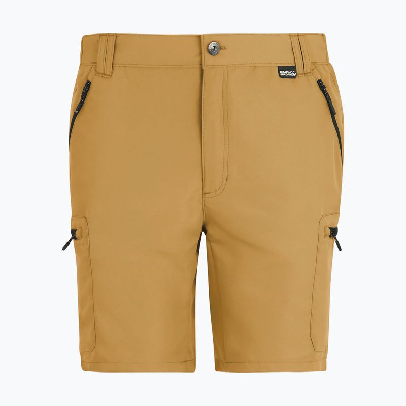 Men's trekking shorts REGATTA Leesville III wood brown 6