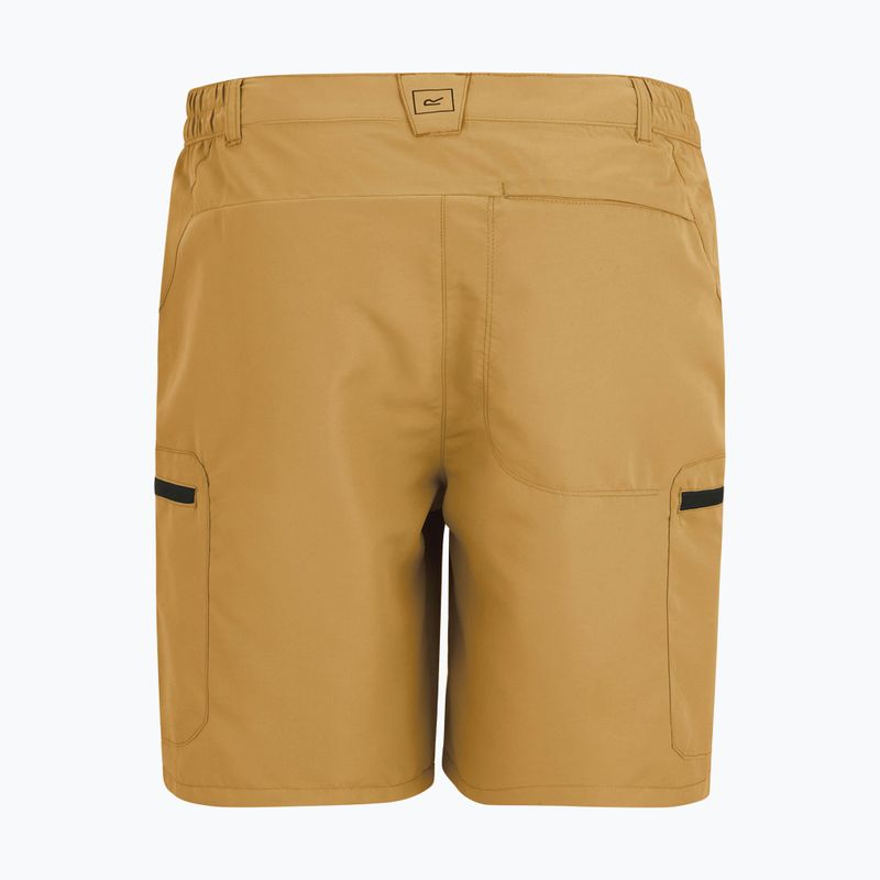 Men's trekking shorts REGATTA Leesville III wood brown 7