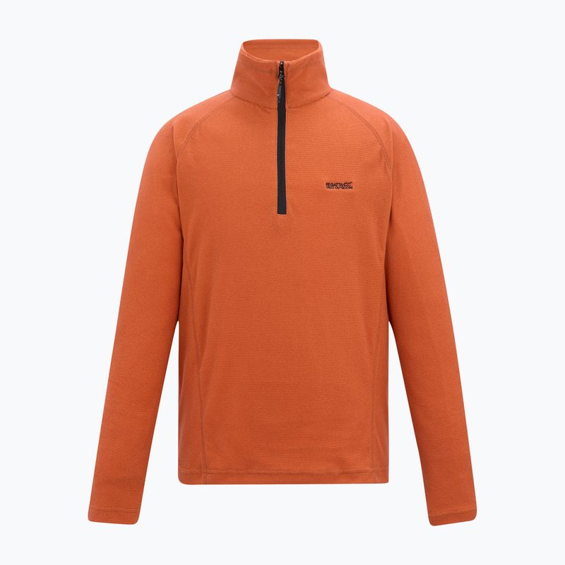 Men's sweatshirt REGATTA Montes rusty orange 5