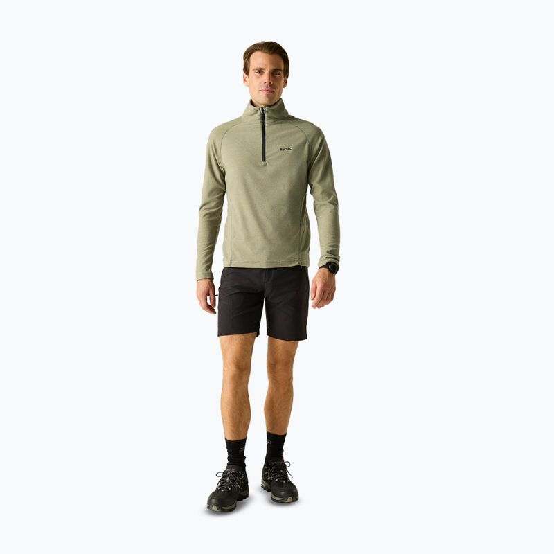 Men's sweatshirt REGATTA Montes light sage 2