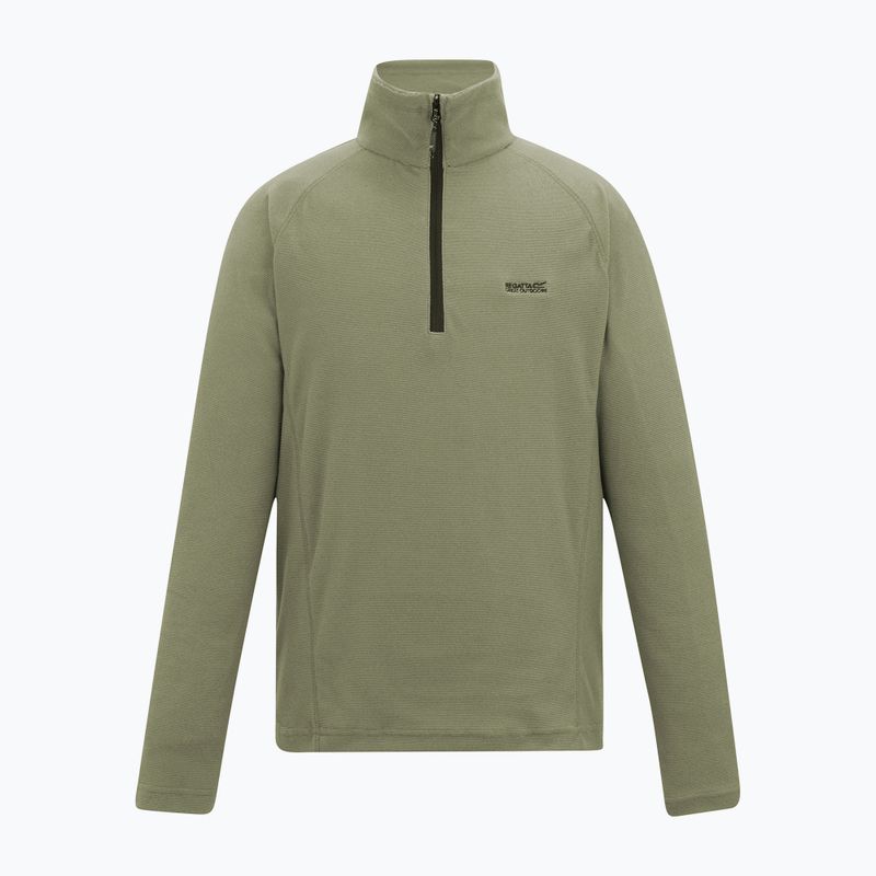 Men's sweatshirt REGATTA Montes light sage 4