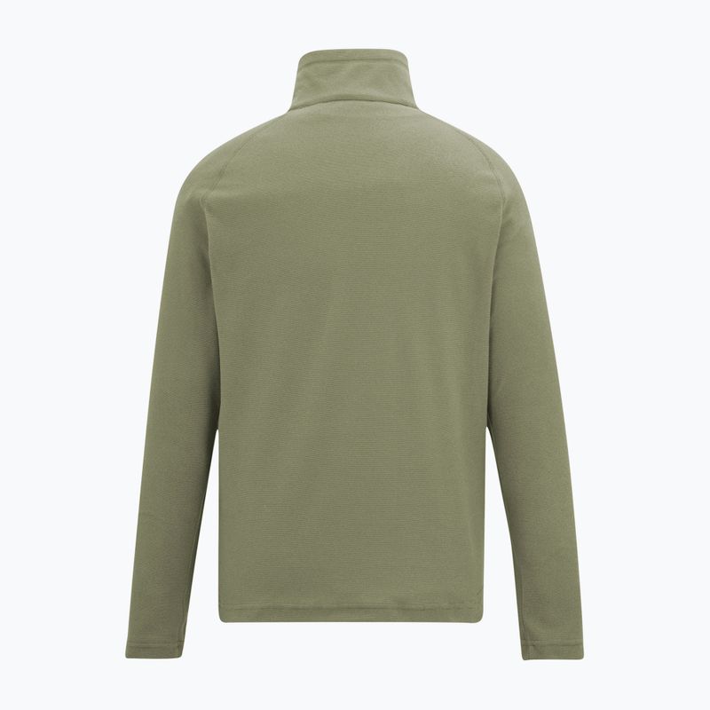 Men's sweatshirt REGATTA Montes light sage 5