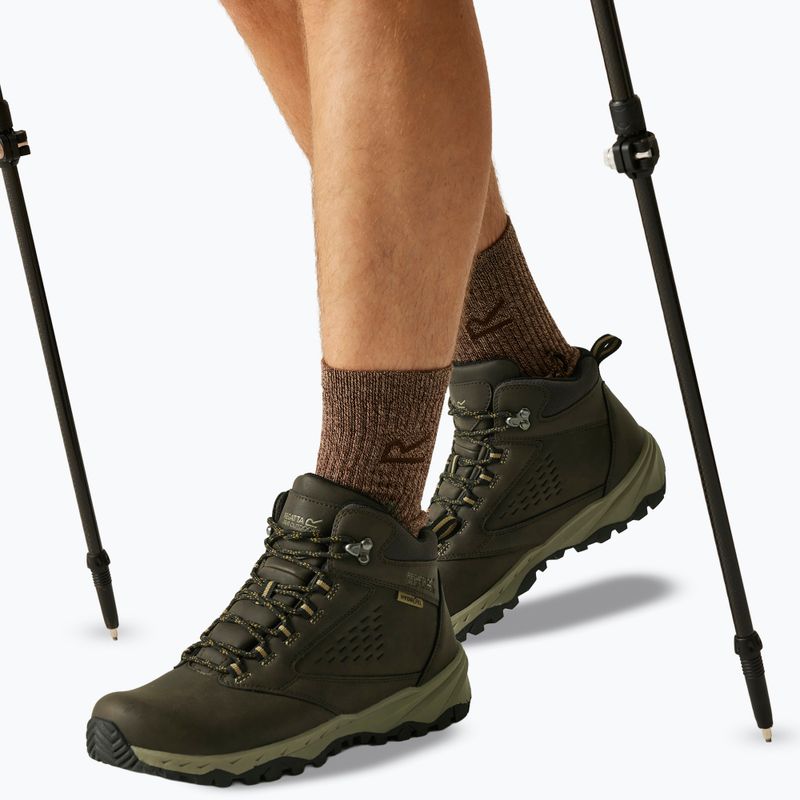 Men's trekking boots REGATTA Amble Boot Waterproof peat/tan 6