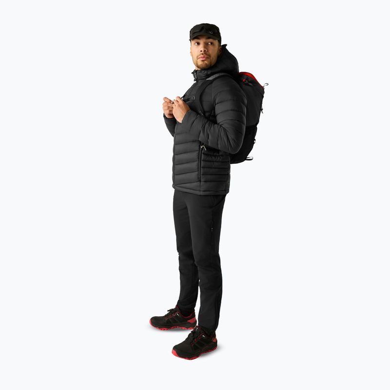 Men's insulated jacket Dare 2b Torrek Padded Jacket black/black 2