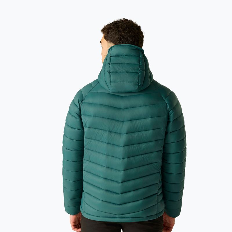Men's insulated jacket Dare 2b Torrek Padded Jacket mediterranea 3