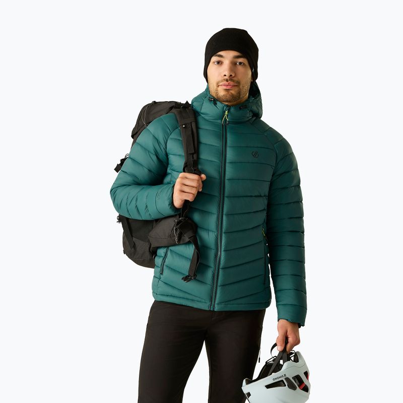 Men's insulated jacket Dare 2b Torrek Padded Jacket mediterranea 4