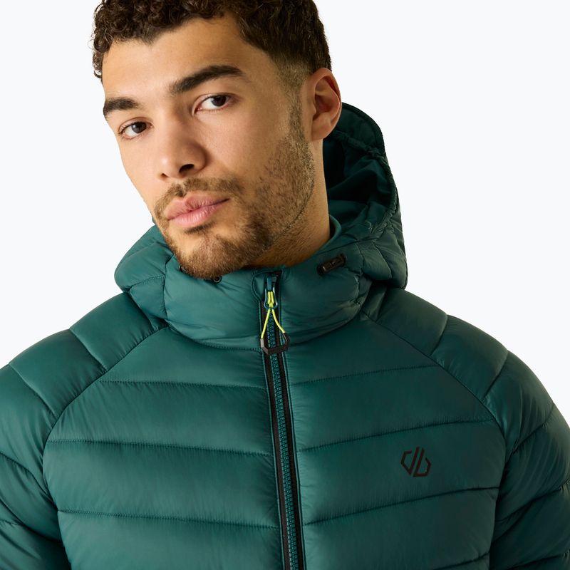 Men's insulated jacket Dare 2b Torrek Padded Jacket mediterranea 5