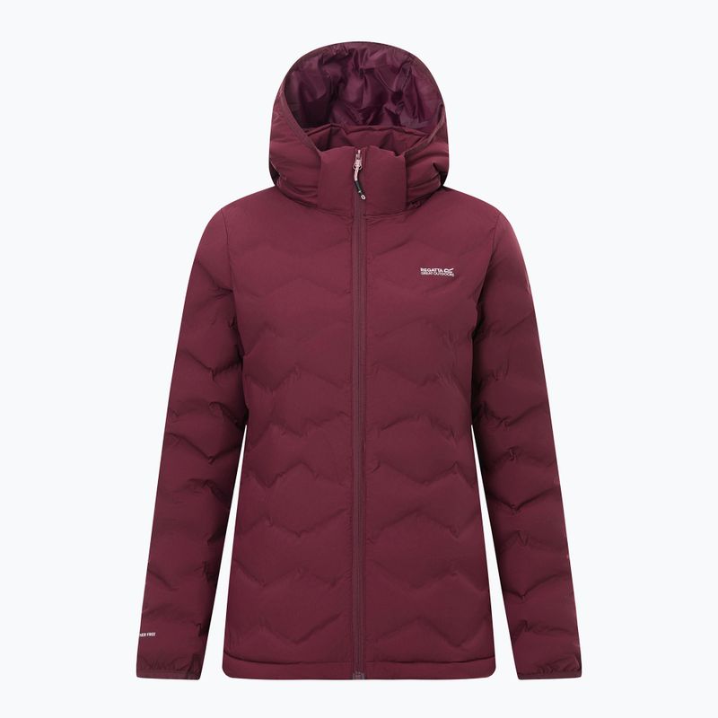 Women's insulated jacket REGATTA Deyla fig 10