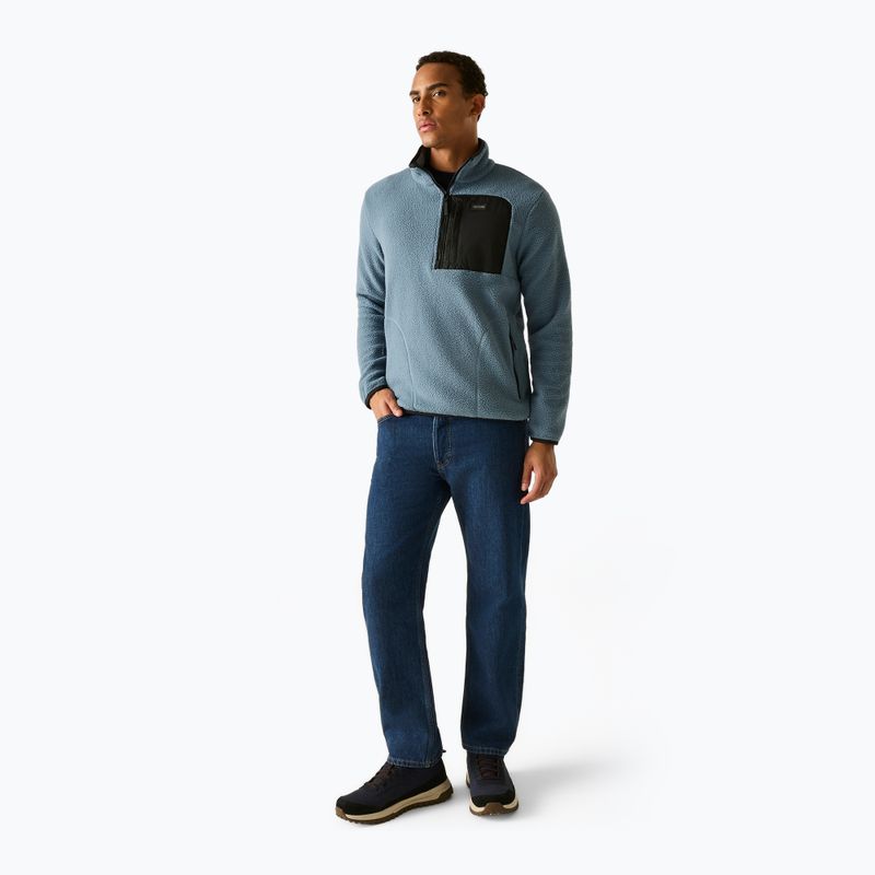Men's fleece sweatshirt REGATTA Frankie Borg Half Zip grey mirage/black 2