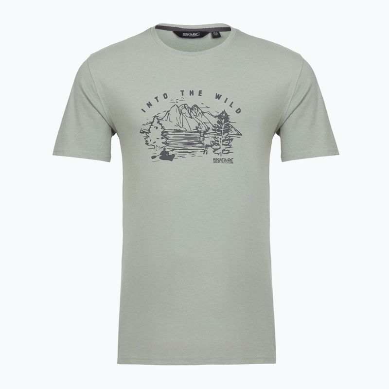 Men's T-shirt Regatta ClineIX glacier wild scene
