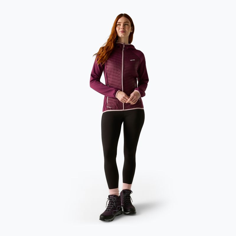 Women's hybrid jacket REGATTA Andreson Hybrid fig 2