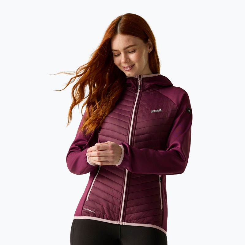 Women's hybrid jacket REGATTA Andreson Hybrid fig 3