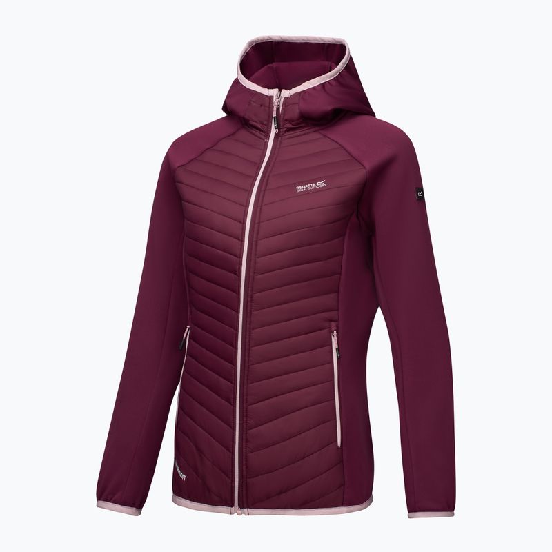 Women's hybrid jacket REGATTA Andreson Hybrid fig 10