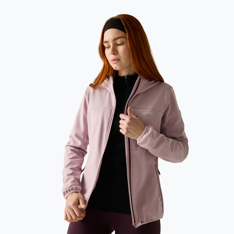 Women's softshell jacket REGATTA Ossek powder lilac 3