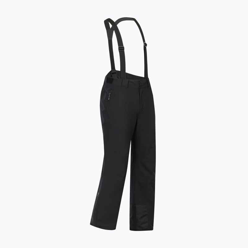 Men's ski trousers Dare 2b Achieve III Pant black 10