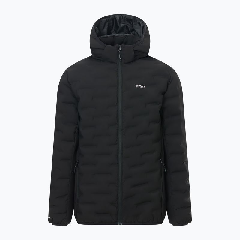 Men's insulated jacket REGATTA Astrel black 10