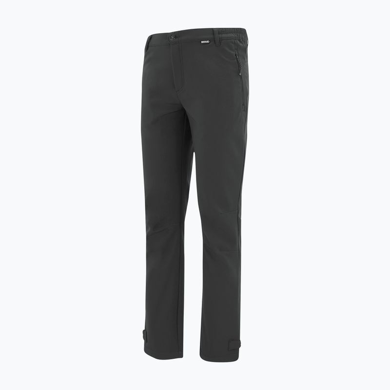 Men's softshell trousers REGATTA Geo Softshell ash 9