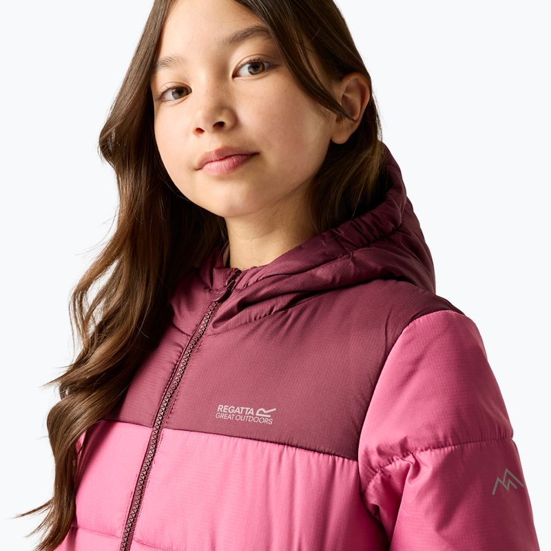 Children's insulated jacket REGATTA Lofthouse fig/violet 5
