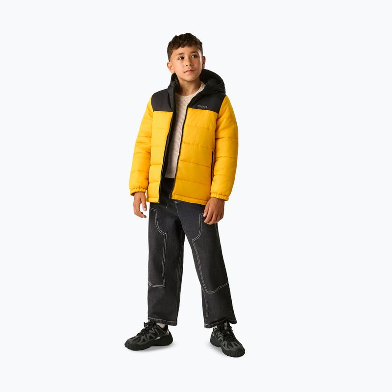Children's insulated jacket REGATTA Lofthouse black/mustard 2