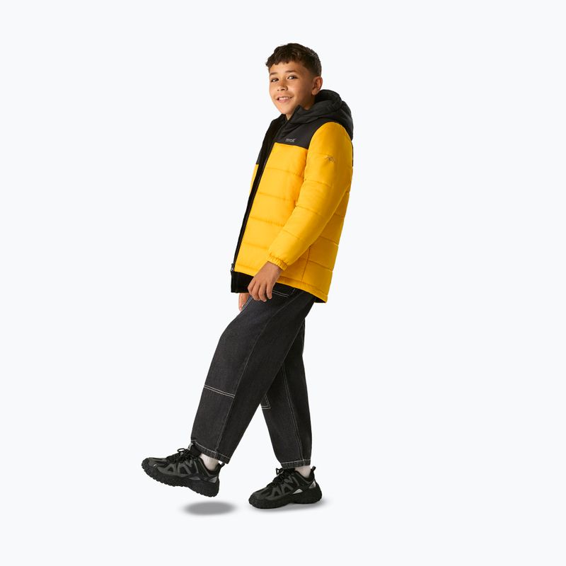 Children's insulated jacket REGATTA Lofthouse black/mustard 3