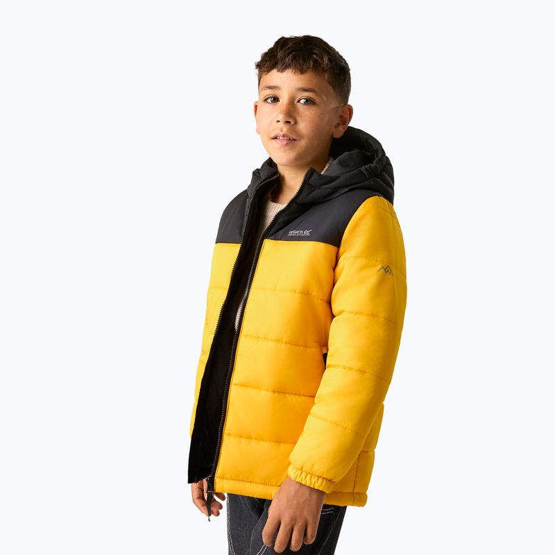 Children's insulated jacket REGATTA Lofthouse black/mustard 5