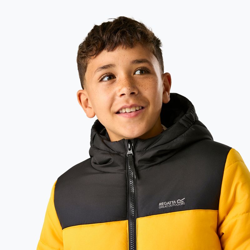 Children's insulated jacket REGATTA Lofthouse black/mustard 7