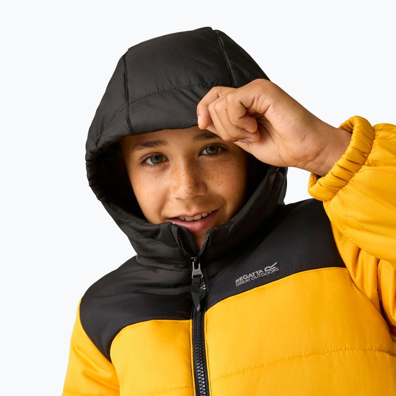 Children's insulated jacket REGATTA Lofthouse black/mustard 8