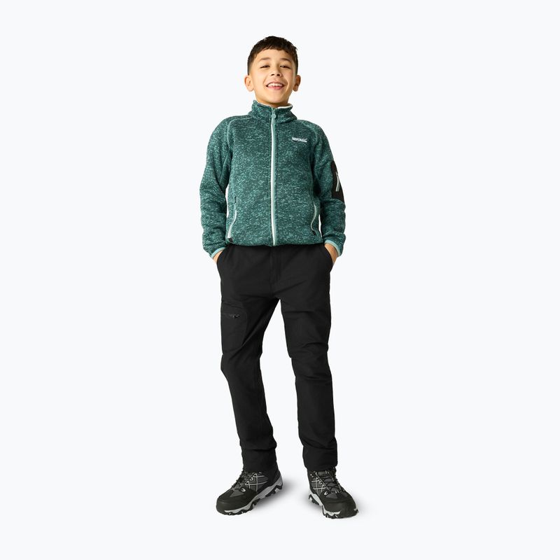 Children's trekking trousers REGATTA Highton Winter RKJ175 black 5