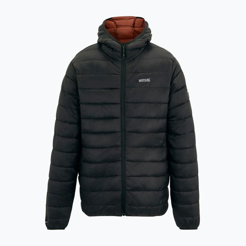 Men's down jacket REGATTA Hooded Marizion black/burnt henna 9