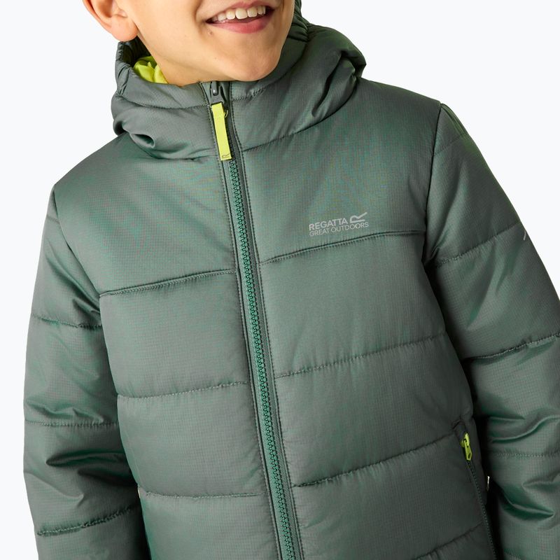 Children's down jacket REGATTA Hooded Marizion dark forest green/wild lime 11