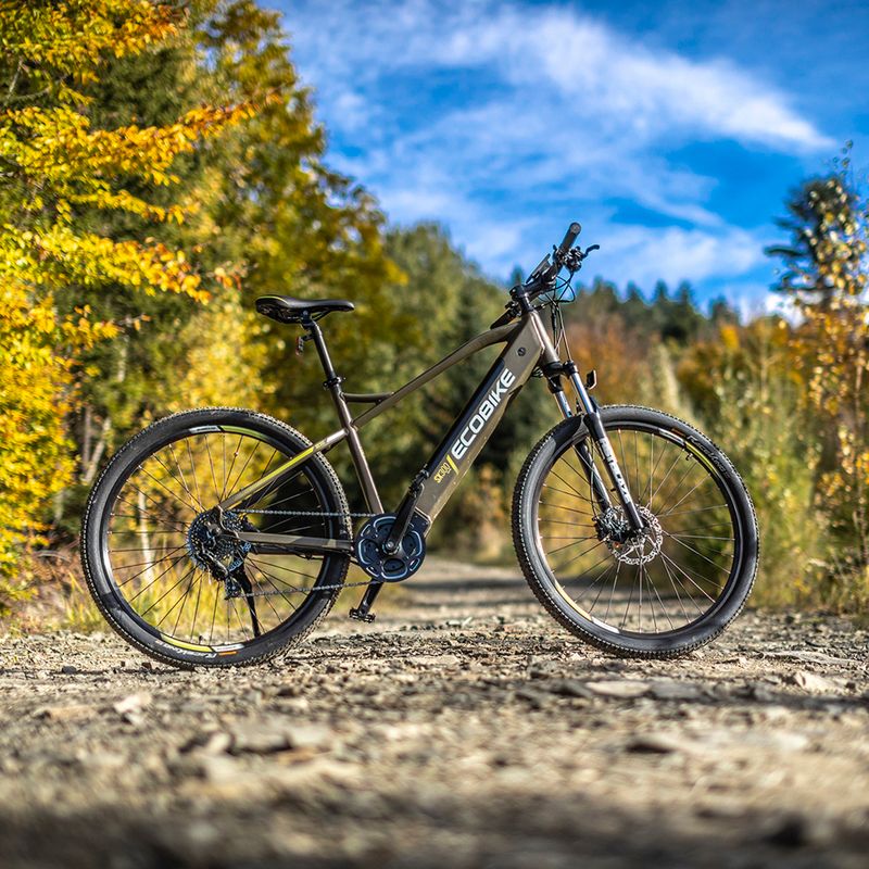 Electric bike EcoBike SX300/X300 LG 12.8Ah green 1010404 18