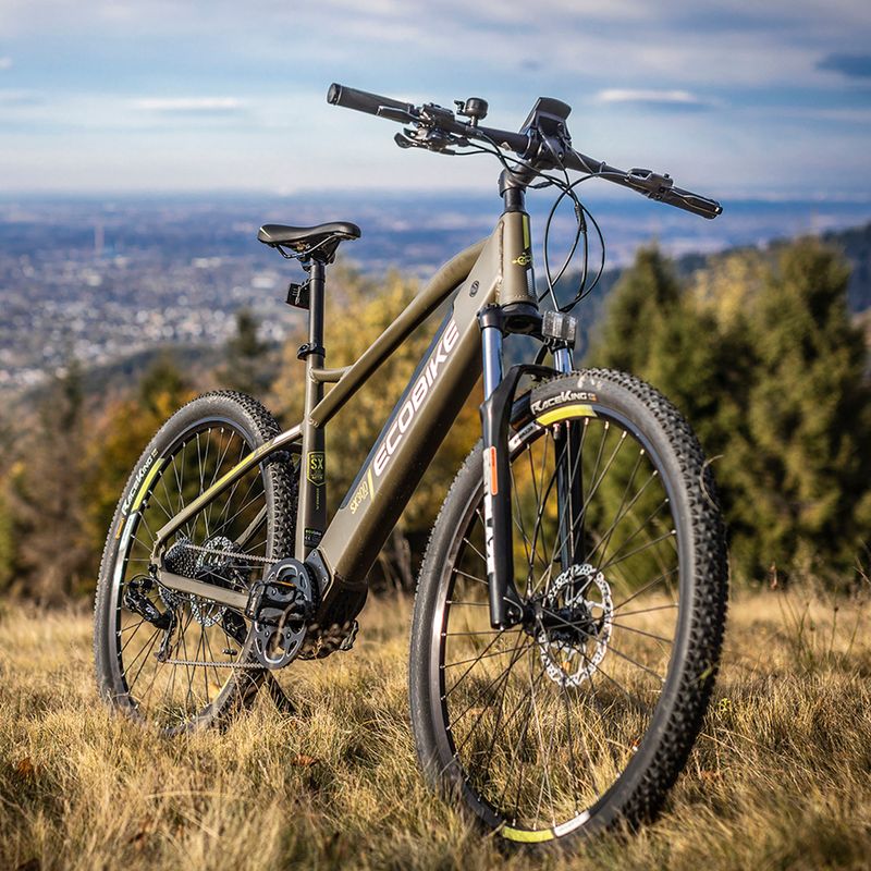 Electric bike EcoBike SX300/X300 LG 12.8Ah green 1010404 19