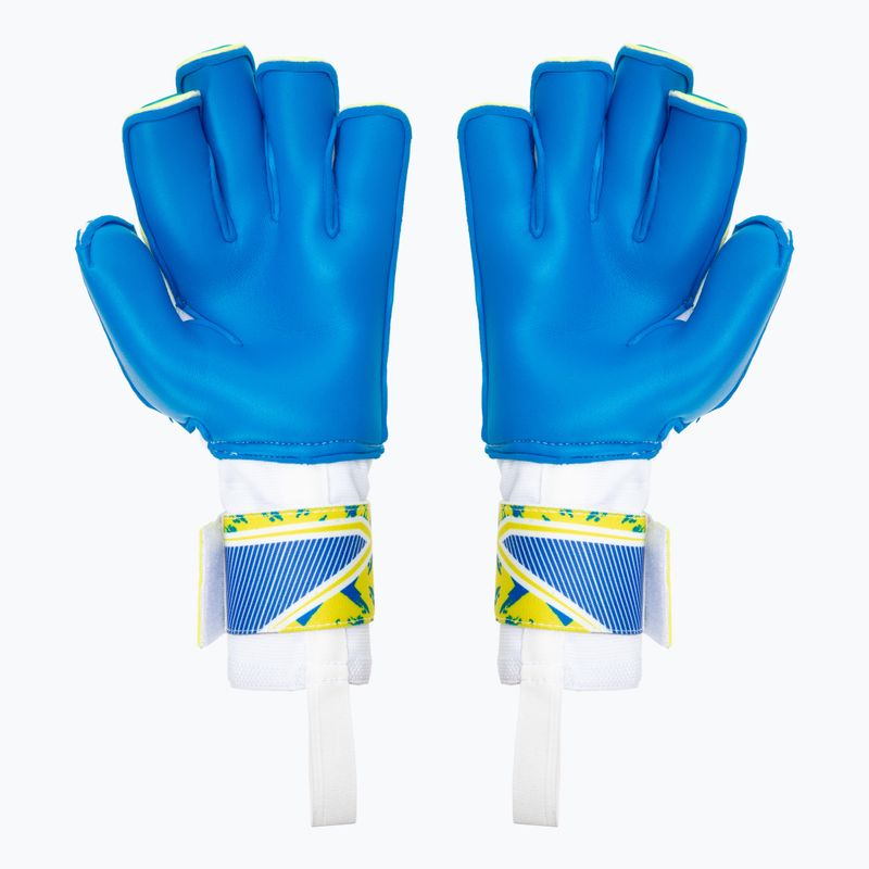 Goalkeeper's gloves RG Onar blue/yellow ONAR2107 2
