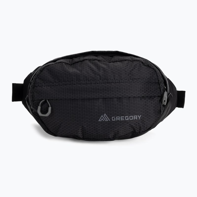 Gregory Nano Waistpack kidney pouch black 126861 3