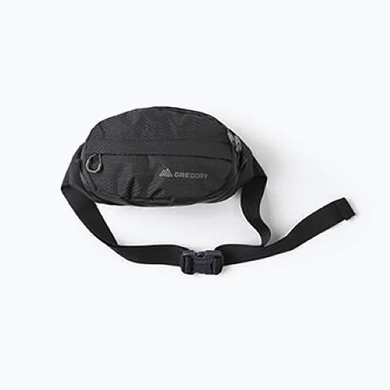 Gregory Nano Waistpack kidney pouch black 126861 11