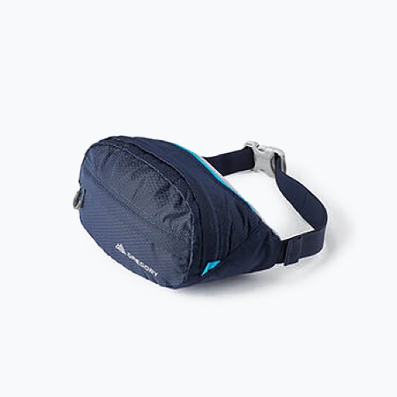 Gregory Nano Waistpack kidney pouch navy blue 126861 9