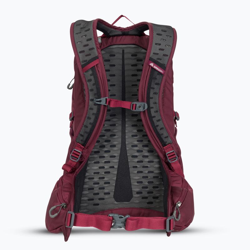 Gregory Kiro 22 l amethyst purple hiking backpack 3