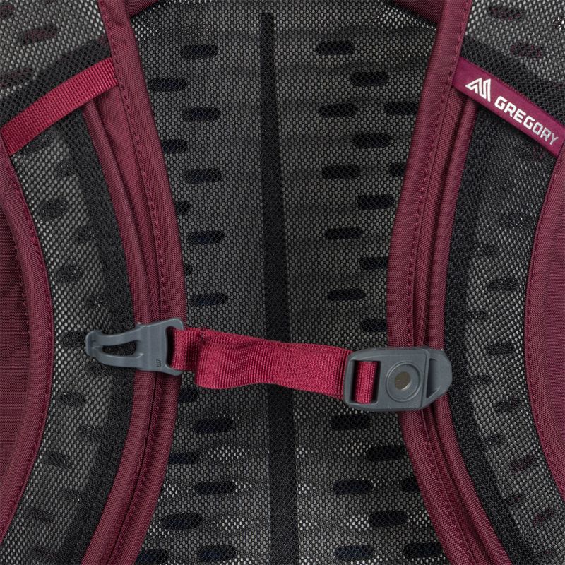 Gregory Kiro 22 l amethyst purple hiking backpack 5