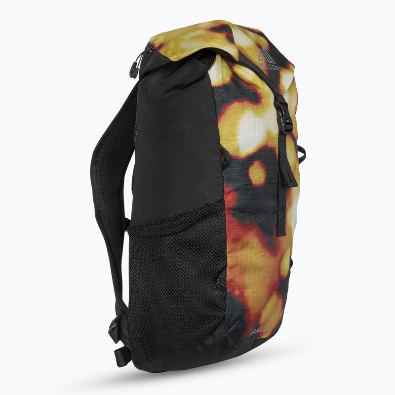 Gregory Nano 16 l summer solstice urban backpack 2