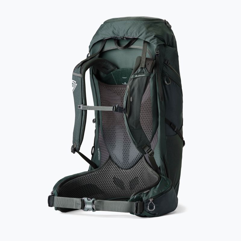 Trekking backpack Gregory Paragon 60 l RC cascade green 2