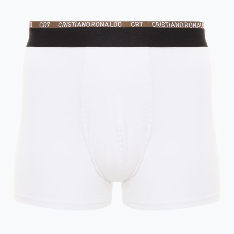 Men's trunks CR7 Basic Trunk 10 pairs multicolour 2