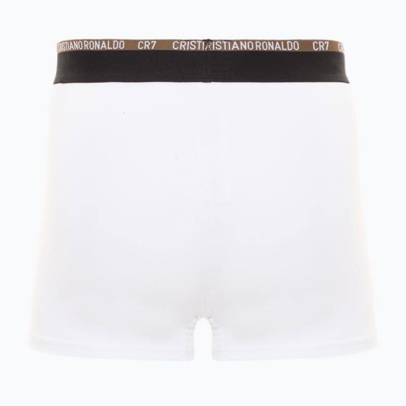 Men's trunks CR7 Basic Trunk 10 pairs multicolour 5