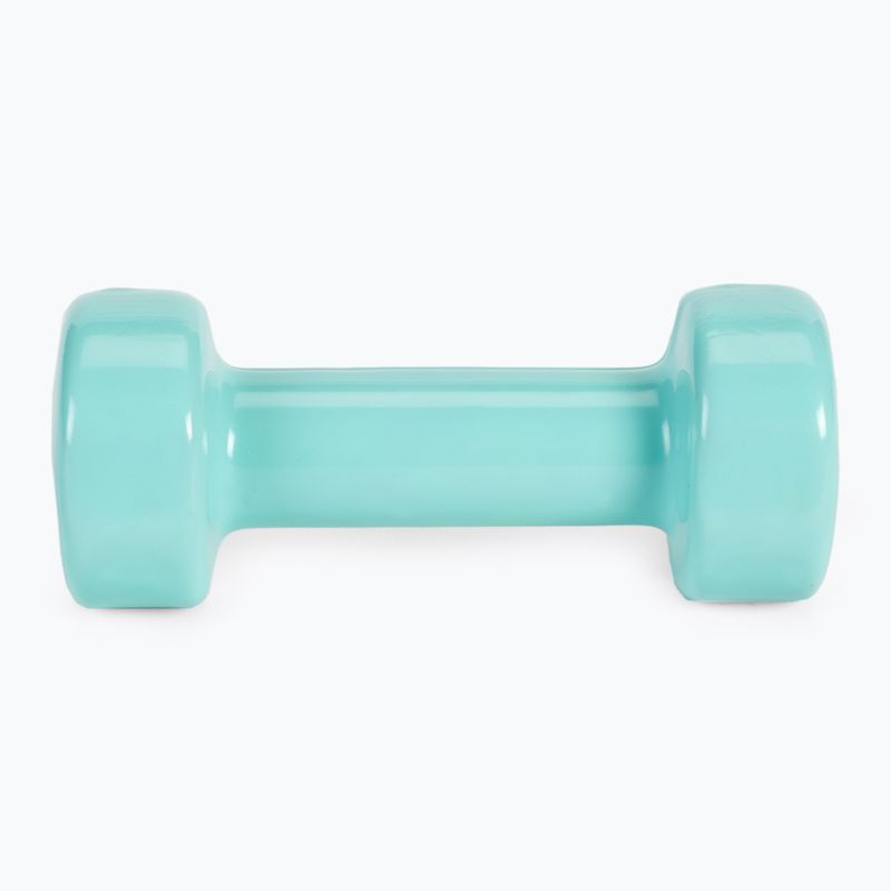 Meteor dumbbells 2 x 2 kg mint 30184 4